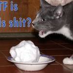 pipchip_funny_002