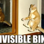 pipchip_funny_003