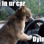 pipchip_funny_005