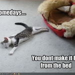 pipchip funny 002