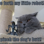 pipchip funny 004