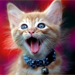 pipchip_funny_006