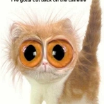 pipchip funny 008