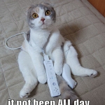 pipchip funny 009
