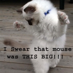 pipchip funny 016