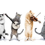 JINGLE CATS MUSIC