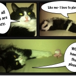 pipchip funny 021