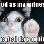 pipchip funny 023